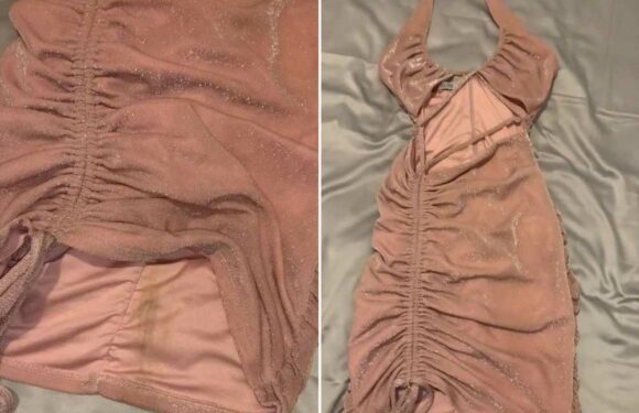 I bought a cute party dress from Vinted but it arrived with a disgusting stain on it – I’m never shopping on there again | The Sun