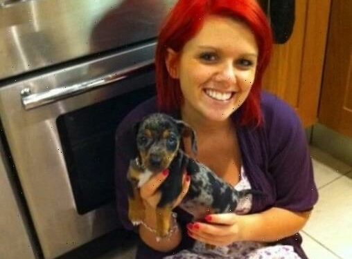 I bought '£2k' purebred sausage dog – I was baffled when it grew up to be something totally different | The Sun