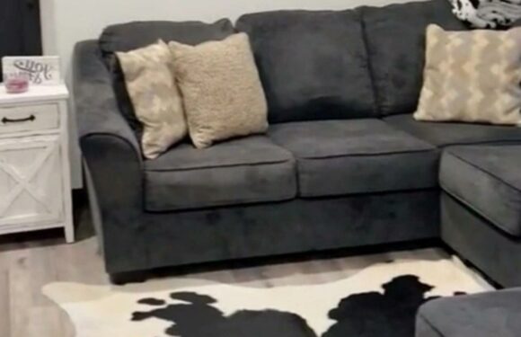 I converted a shed into a tiny home – people are so impressed & say it has bigger rooms than their three bed apartment | The Sun