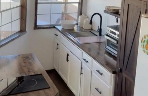 I converted my titchy shed into a home – it's even filled with tiny appliances to match, people are obsessed | The Sun