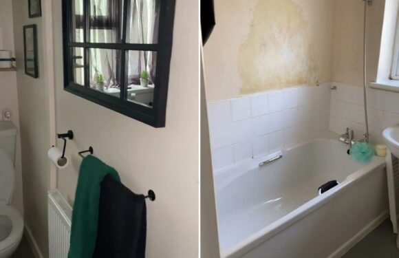 I did up my council house bathroom for £70 but everyone’s saying the same thing about my new curtains | The Sun