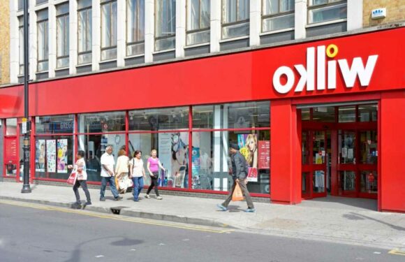 I found a 47p bargain at Wilko – trolls say I'm selfish & cleared the shelf but I have my reasons | The Sun