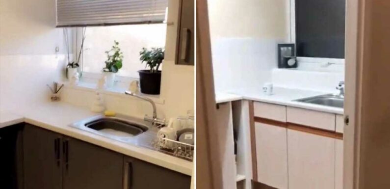 I gave my tired council house a very modern transformation – it looks so good people say I should do DIY for a living | The Sun