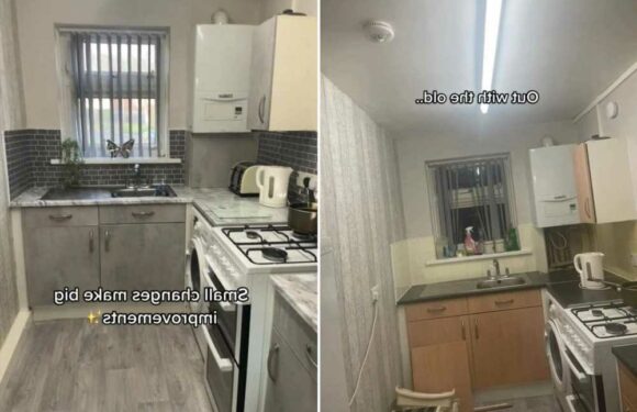 I hated the magnolia tiles in my bland council house kitchen so gave it a glow-up with bargain buys from B&M and B&Q | The Sun