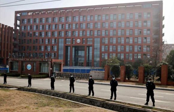 I investigated the origins of Covid for the UN – I believe the virus leaked from a Chinese lab & here is why | The Sun