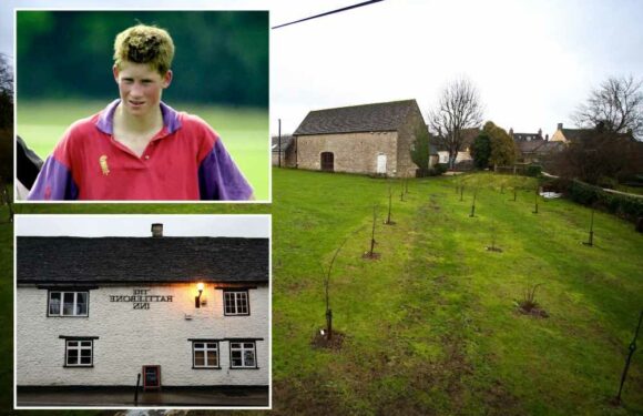 I know who Prince Harry lost his virginity to… and it wasn't behind a pub like he claims in his memoir | The Sun