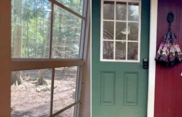 I live in a tiny shed…it's in the woods and there's no loo so it's terrifying at night but I love it and it’s cheap | The Sun