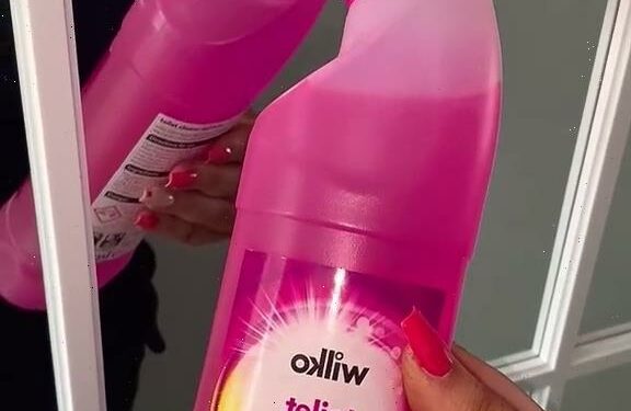 I love keeping my house spotless and there’s a 50p Wilko item that make your loo look and smell amazing | The Sun