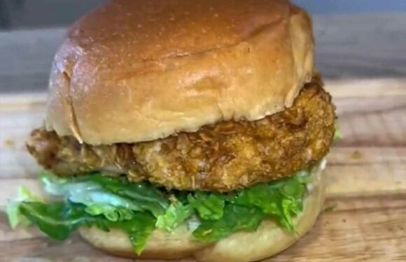 I make my own version of the new McDonald’s McCrispy in my air fryer…it's so easy & I can’t believe how delicious it is | The Sun