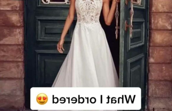 I ordered a wedding dress from Wish but it was a total fail – it was completely see-through for one | The Sun