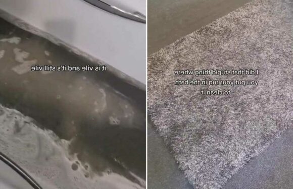 I put my shaggy rug in the bath to wash it and wish I never had – what came out turned my stomach | The Sun