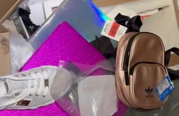 I rummage through bins for treasure & found designer goodies – it’s amazing what gets dumped and people have no idea | The Sun