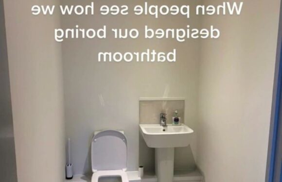 I transformed my boring and plain bathroom into a masterpiece of marble, but trolls say it’s way too busy | The Sun