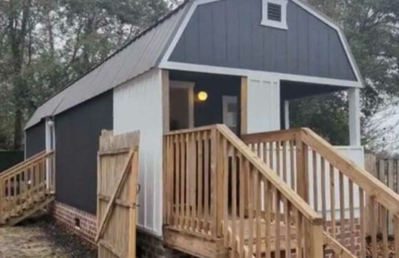 I transformed my shed into a titchy rental home – it’s so fancy people say it looks like a hotel but there's a catch | The Sun