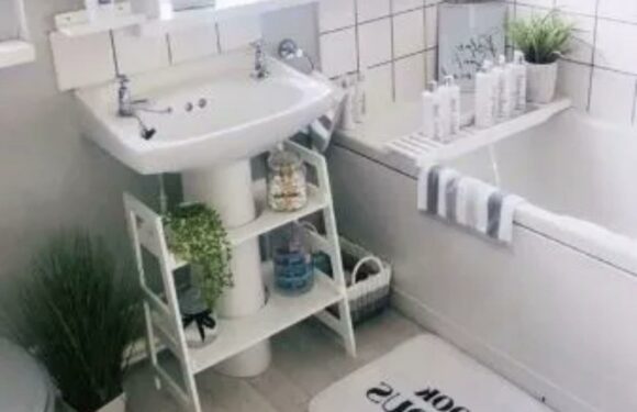 I transformed my tired council home bathroom for £7 with Argos bargains – you don't need to spend loads for a glow-up | The Sun