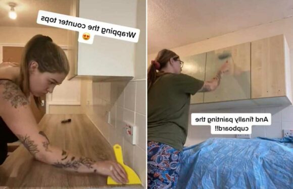 I transformed my tired council house kitchen using Wilko bargains and it only cost £20 – here's how | The Sun