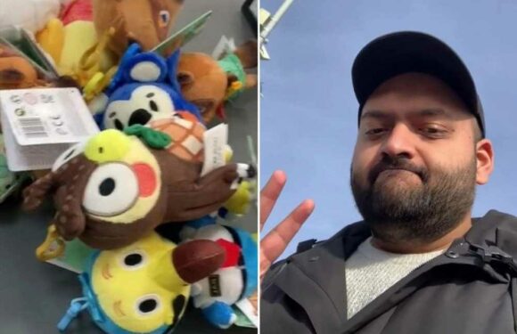 I travelled hours to visit Home Bargains for the first time – I went bonkers and bought nine teddies… it was amazing | The Sun