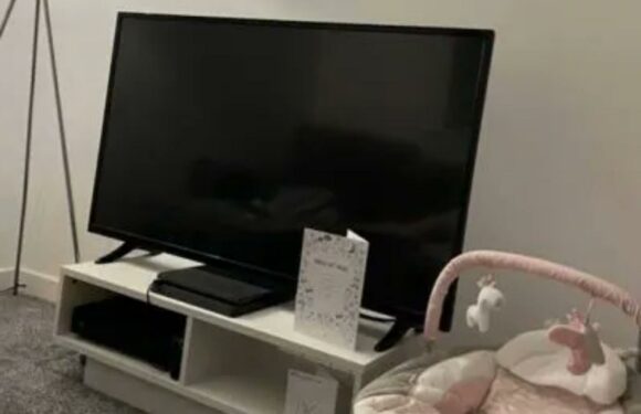 I turned my tired, beige council flat into a gorgeous home – I found bargains in Argos & people are so impressed | The Sun