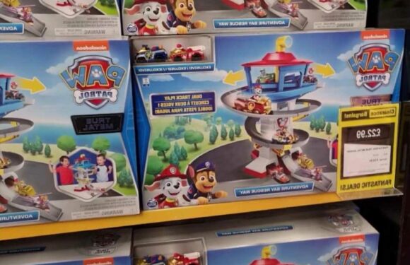 I visited Argos' Clearance Store & it was so cheap – they had tons of kids' toys from Disney Castles to Paw Patrol | The Sun