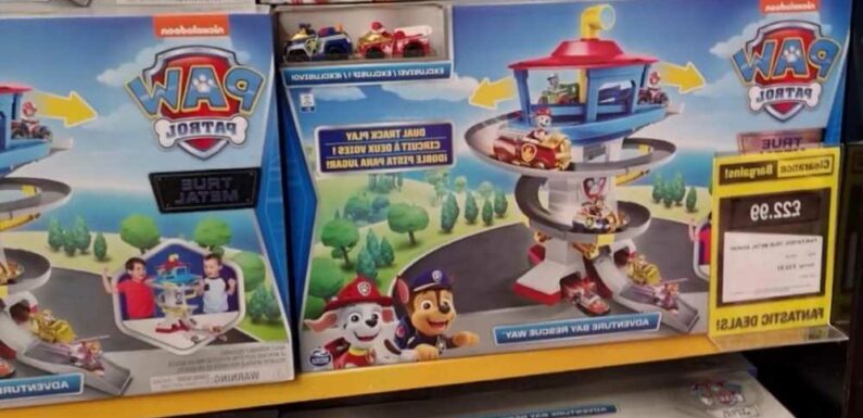 I visited Argos' Clearance Store & it was so cheap – they had tons of kids' toys from Disney Castles to Paw Patrol | The Sun