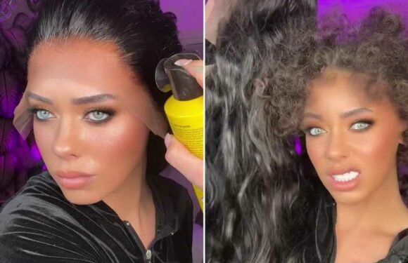 I wanted an image overhaul so got a Shein wig – it was a state when it arrived but people were stunned with the results | The Sun