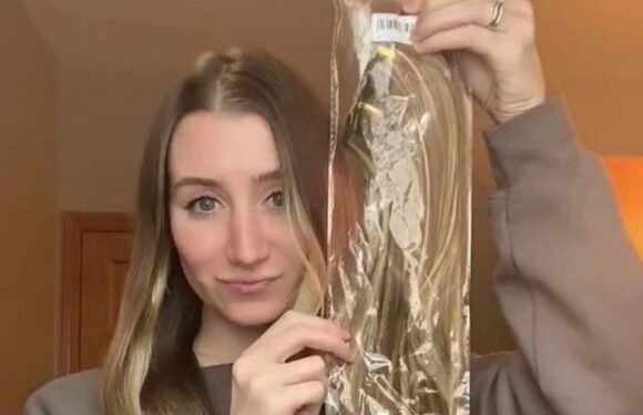 I wanted long hair but didn't want to pay salon prices…I tried Shein's £4 hair extensions & they left me in total shock | The Sun