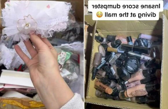 I went skip diving outside a shopping centre… there were huge boxes crammed with make-up & accessories all sealed too | The Sun