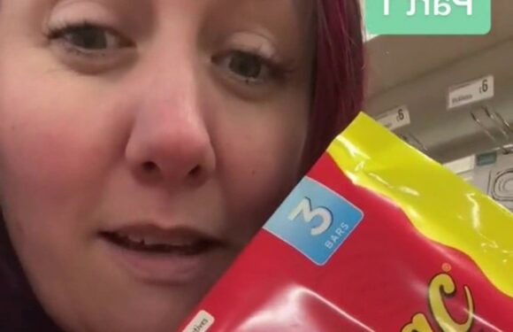 I went to Poundland for cheap snacks – I got more than I bargained for & a steal for packed lunch that scanned for 50p | The Sun