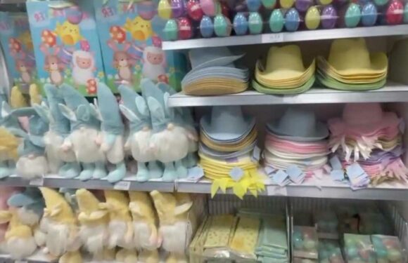 I went to one of the UK's biggest Home Bargains & was blown away by the sky-high aisles and Easter buys | The Sun