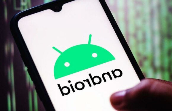 Ignore the Galaxy S23! Cheap Android alternatives launch this weekend