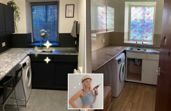 I’m a DIY fan known as the Blondie Builder & I gave my kitchen an overhaul using Dunelm & B&Q bargains…one buy was £6.50 | The Sun