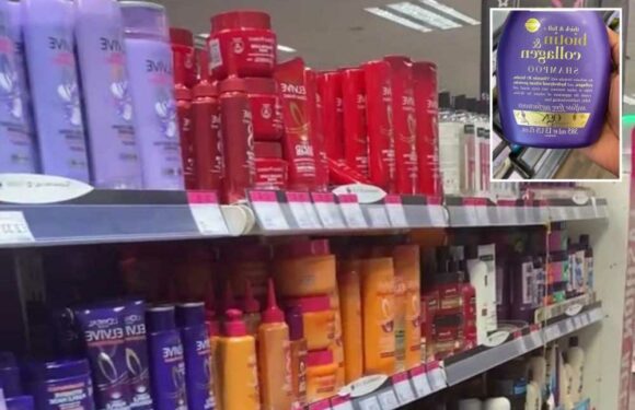 I’m a beauty whizz and here are the shampoos you should get from Superdrug… plus the ones to definitely steer clear of | The Sun