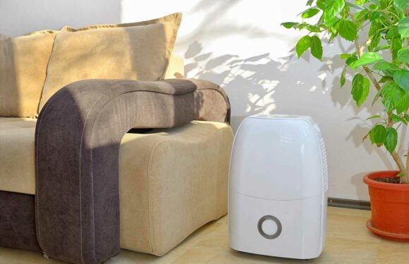 I’m a cleaning pro –dehumidifiers are the only way to get rid of mould but they won’t all work, here’s what to look for | The Sun