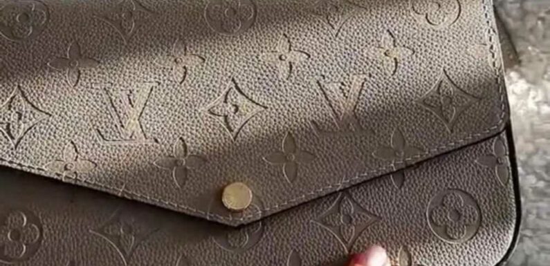 I’m a designer bag fan but only buy fakes because I’m boujee on a budget – how to ensure your ‘Louis Vuitton’ looks real | The Sun