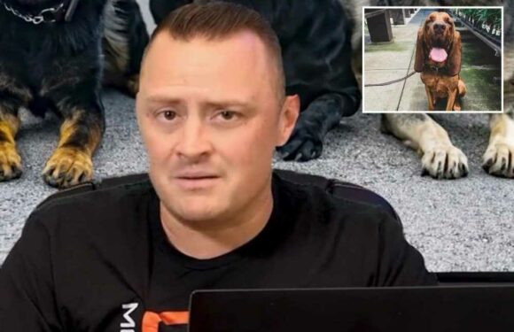 I’m a dog expert and there are three large dog breeds I wouldn’t recommend – one of them stinks no matter what you do | The Sun