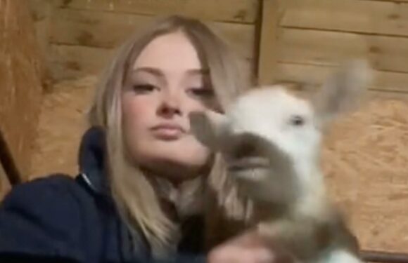 I’m a female dairy farmer – I showed myself transform from work to glam and people love it | The Sun