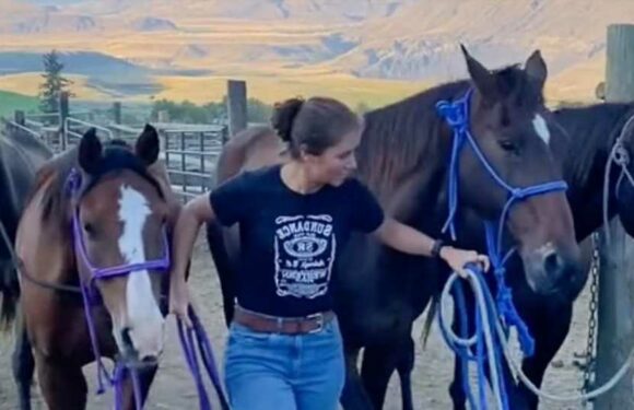 I’m a female wrangler – it’s been my dream since I was a child, people ask if they can come work with me | The Sun