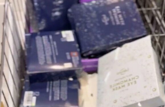 I’m a savvy shopper & there’s a surefire way to find Aldi dupes – there's a sneaky section where they’re usually hidden | The Sun