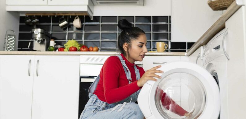 I’m a washing machine pro – 7 myths you should never listen to & why adding more detergent doesn’t mean cleaner clothes | The Sun