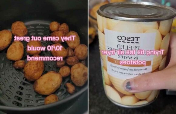 I’m an air fryer whizz and I made the perfect roast potatoes for just 60p, you don’t even need to peel them | The Sun