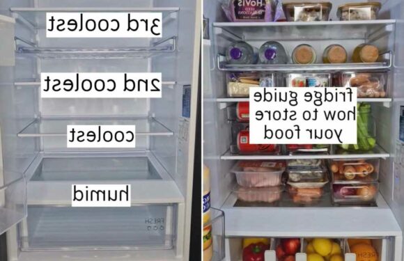 I’m an organising pro – here’s the best way to organise your fridge so that your food will last longer | The Sun