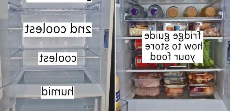 I’m an organising pro – here’s the best way to organise your fridge so that your food will last longer | The Sun
