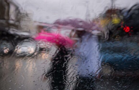 It’s official: 2022 was wet. Very wet.