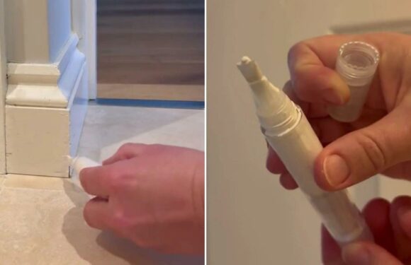 I'm a DIY pro – the super easy way to touch up paint without making a mess – and there’s not a paintbrush in sight | The Sun