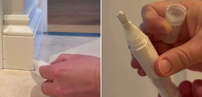 I'm a DIY pro – the super easy way to touch up paint without making a mess – and there’s not a paintbrush in sight | The Sun