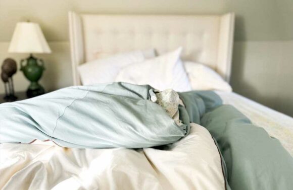 I'm a cleaning expert – you should NEVER make your bed first thing in the morning and here’s the gross reason why | The Sun