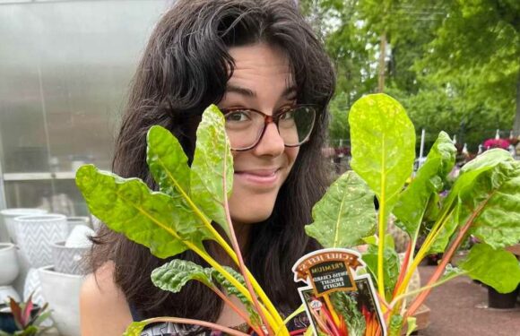 I'm a garden expert – five free things to do now to prepare your yard for spring, including a money-saving bulb hack | The Sun