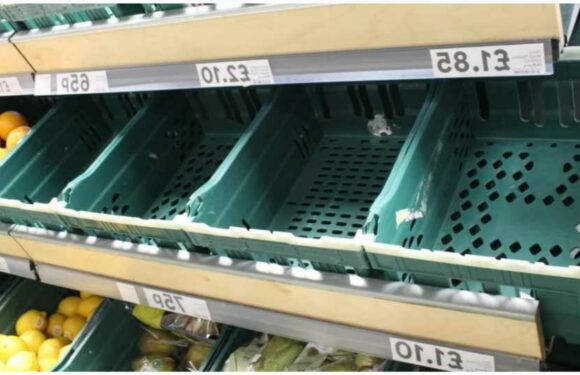 I'm a gardening expert, here's the best way to beat the fruit and vegetable shortages | The Sun