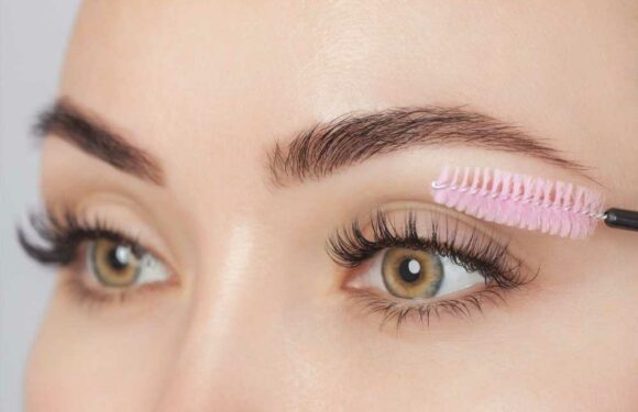 I'm a lash expert & here's what your eyelashes reveal about you…I can easily spot if you're sensitive, a leader or loyal | The Sun
