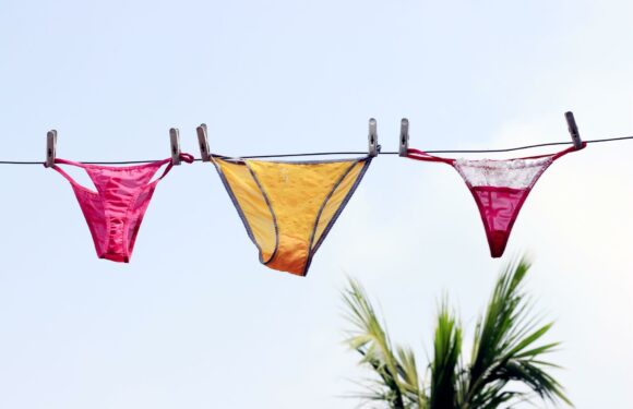 I'm a professional bikini waxer – what we really think of you based on your kickers and why cartoons are NOT cute | The Sun